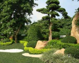 園林綠化養(yǎng)護